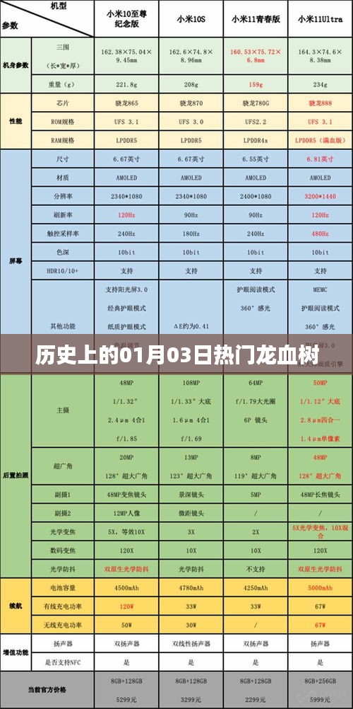 龍血樹的歷史變遷，一月三日的重要時刻回顧