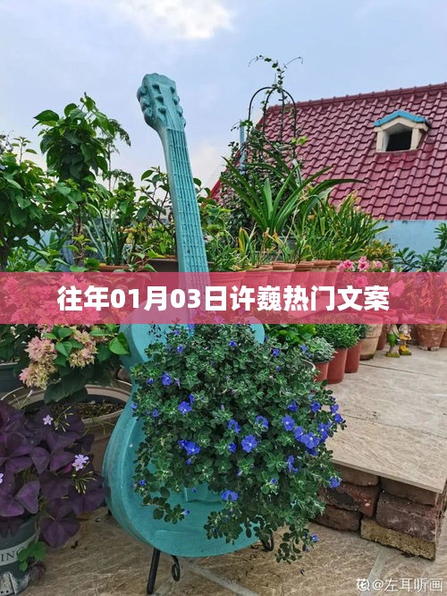 許巍元旦熱門文案回顧