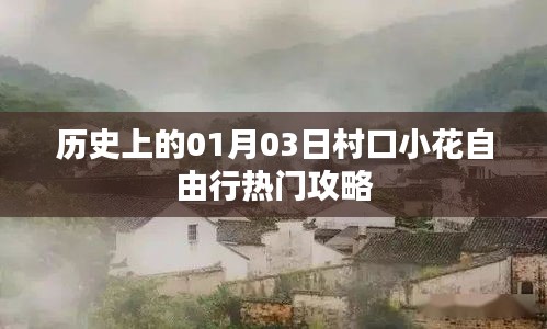 村口小花自由行，一月三日熱門攻略回顧