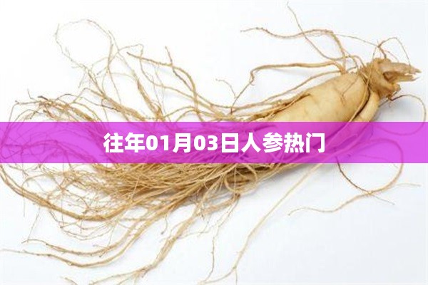 人參熱門事件回顧，歷年一月初三矚目時(shí)刻