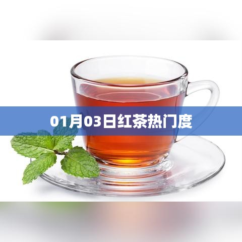 紅茶熱門度揭秘，最新趨勢分析（日期，01月03日）
