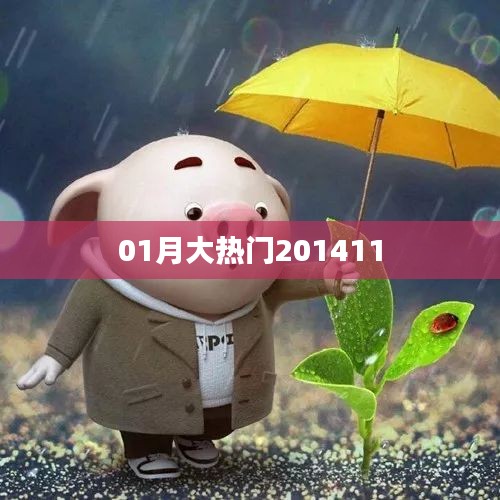 大熱門事件回顧，揭秘2014年1月熱點話題