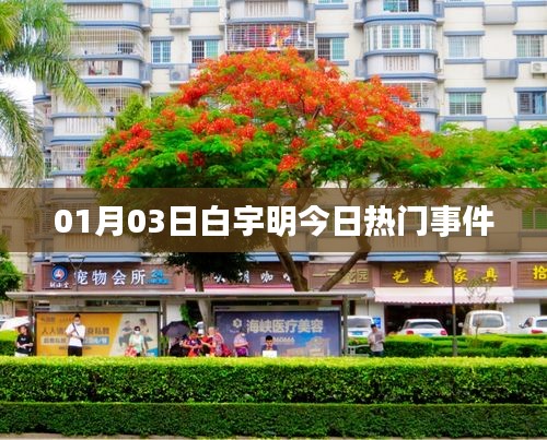 白宇明最新熱門事件曝光，關注細節(jié)解析