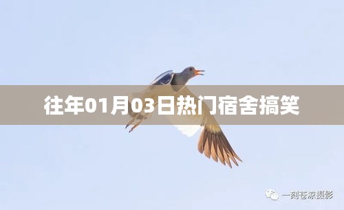 囊螢映雪 第4頁