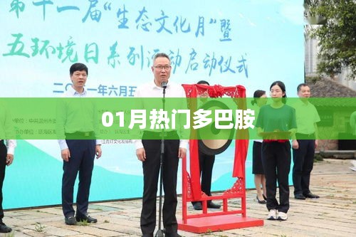 熱門多巴胺，揭秘一月新動向
