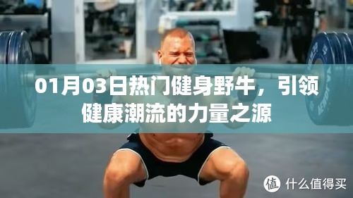 熱門健身野牛，引領(lǐng)健康潮流的力量之源