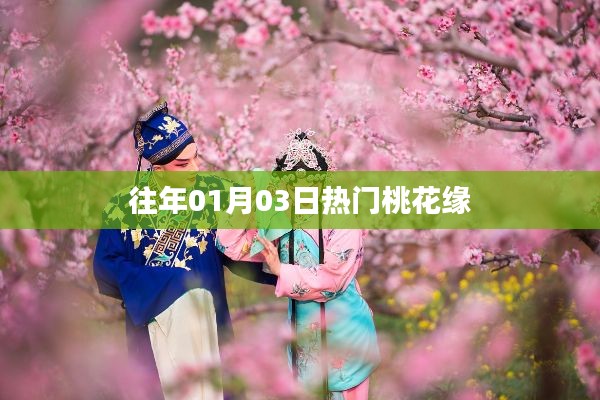 往年一月初桃花盛開，緣分盛開日