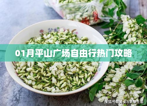 平山廣場自由行指南，熱門攻略一網打盡