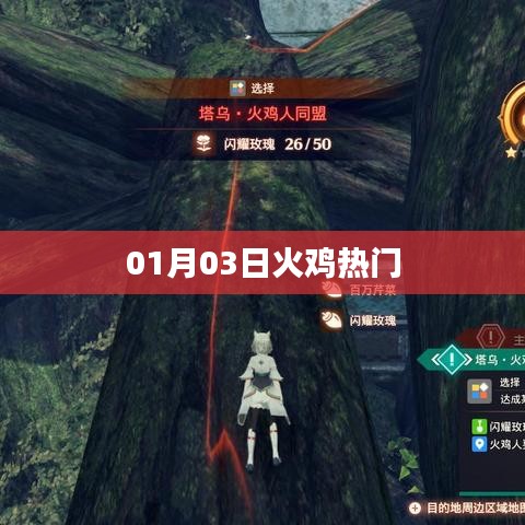 火雞熱門風潮，揭秘背后的故事