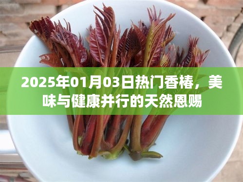 香椿盛宴，美味與健康并行的天然恩賜（2025年）