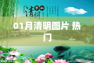 01月清明圖片，精選熱門美圖欣賞