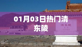 清東陵熱門事件 01月03日揭秘
