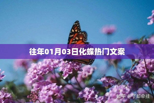 化蝶熱門文案大揭秘，歷年一月初的驚喜瞬間