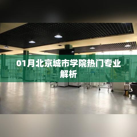 北京城市學(xué)院熱門(mén)專(zhuān)業(yè)深度解析