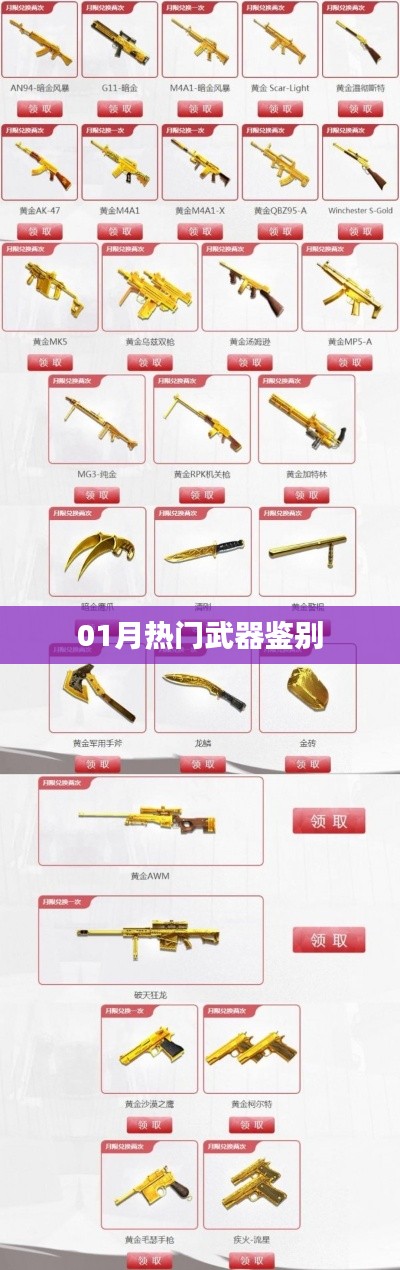 最新熱門武器鑒別指南