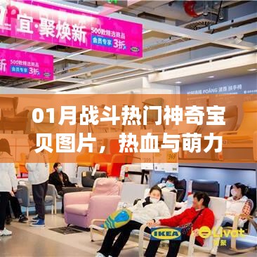01月戰(zhàn)斗熱門神奇寶貝圖片，熱血萌力集結
