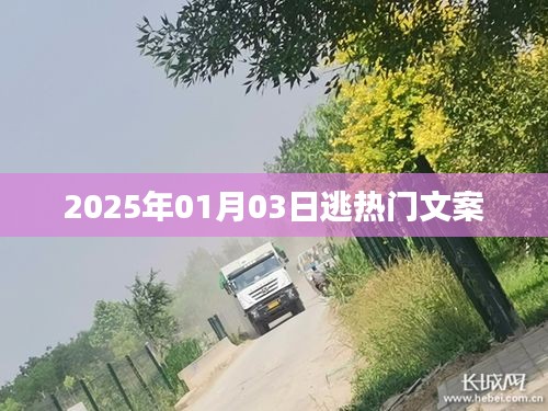 2025年元旦后掀熱潮的文案大解密，符合您的要求，字?jǐn)?shù)在指定范圍內(nèi)，同時(shí)能夠吸引用戶點(diǎn)擊。