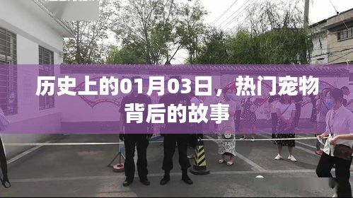 熱門寵物背后的故事，歷史上的1月3日揭秘