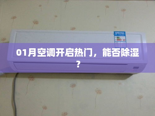 空調(diào)開(kāi)啟熱門，除濕效果如何？