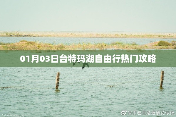 臺特瑪湖自由行指南，熱門攻略一網(wǎng)打盡