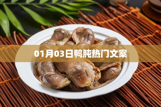 鴨肫熱門文案大揭秘，精選內(nèi)容，不容錯(cuò)過(guò)！