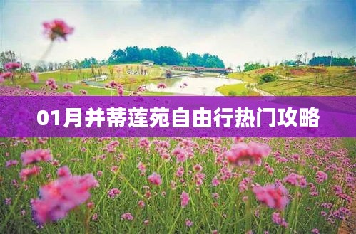 并蒂蓮苑自由行指南，熱門攻略一網(wǎng)打盡！