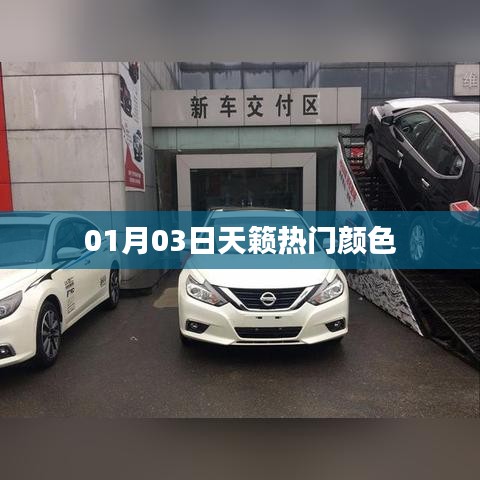 天籟熱門顏色大盤點(diǎn)，時(shí)尚之選，不容錯(cuò)過