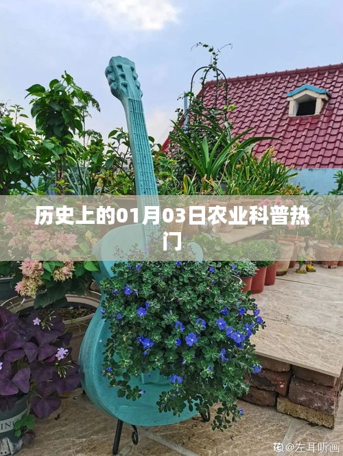 歷史上的今日，一月三日農(nóng)業(yè)科普知識熱點