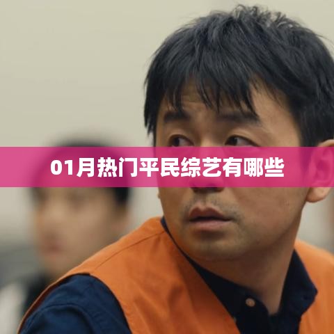 01月熱門平民綜藝節(jié)目大盤點