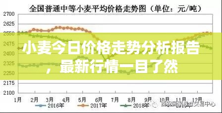 小麥今日價格走勢分析報告，最新行情一目了然