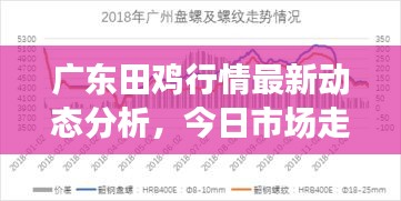 廣東田雞行情最新動態(tài)分析，今日市場走勢揭秘