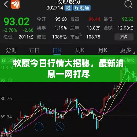 牧原今日行情大揭秘，最新消息一網(wǎng)打盡