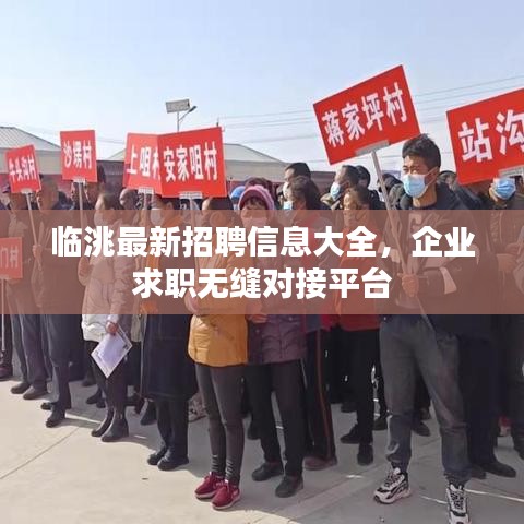 臨洮最新招聘信息大全，企業(yè)求職無縫對接平臺