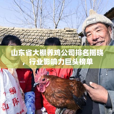 山東省大棚養(yǎng)雞公司排名揭曉，行業(yè)影響力巨頭榜單