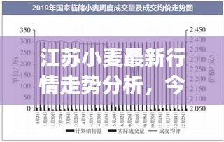江蘇小麥最新行情走勢分析，今日市場動態(tài)揭秘