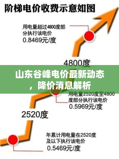 山東谷峰電價最新動態(tài)，降價消息解析