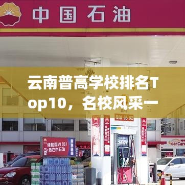 沉厚寡言 第4頁