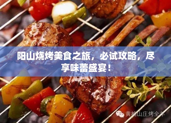 陽山燒烤美食之旅，必試攻略，盡享味蕾盛宴！