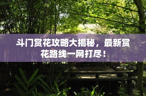 斗門賞花攻略大揭秘，最新賞花路線一網(wǎng)打盡！