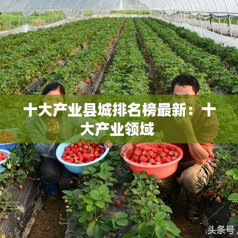 十大產(chǎn)業(yè)縣城排名榜最新：十大產(chǎn)業(yè)領(lǐng)域 