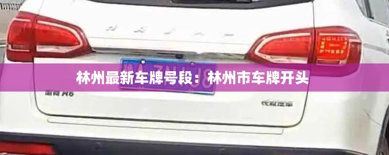 林州最新車(chē)牌號(hào)段：林州市車(chē)牌開(kāi)頭 