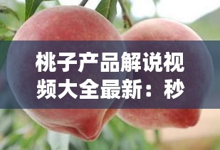 高談闊論 第3頁(yè)