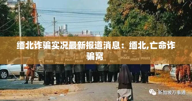 緬北詐騙實(shí)況最新報(bào)道消息：緬北,亡命詐騙窩 