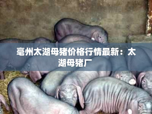 塵土飛揚(yáng) 第3頁(yè)