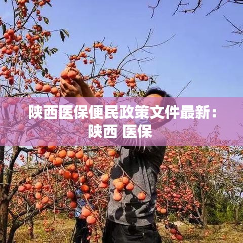 陜西醫(yī)保便民政策文件最新：陜西 醫(yī)保 