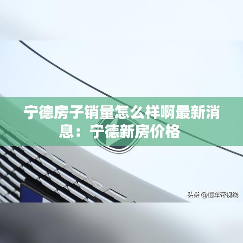 孜孜不倦 第3頁