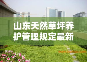 山東天然草坪養(yǎng)護(hù)管理規(guī)定最新：山東草坪哪里有草坪 