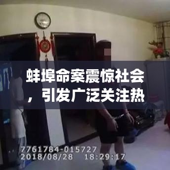 蚌埠命案震驚社會(huì)，引發(fā)廣泛關(guān)注熱議