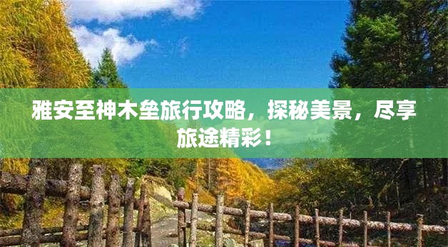 雅安至神木壘旅行攻略，探秘美景，盡享旅途精彩！
