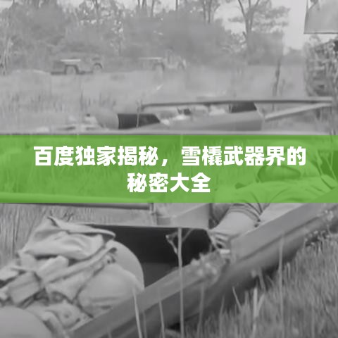 百度獨家揭秘，雪橇武器界的秘密大全